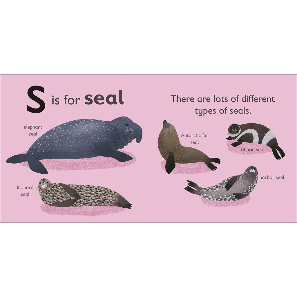 S is for Seal Board book