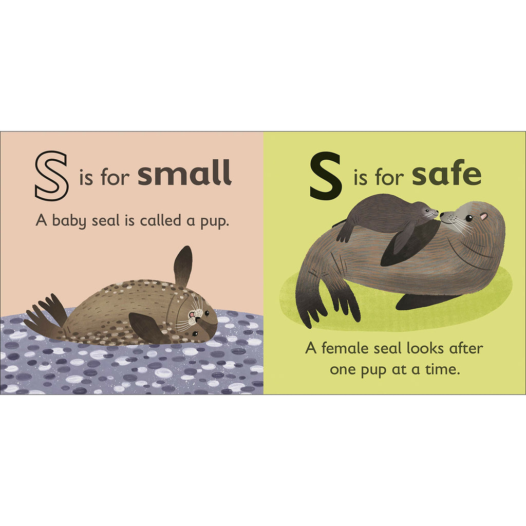 S is for Seal Board book