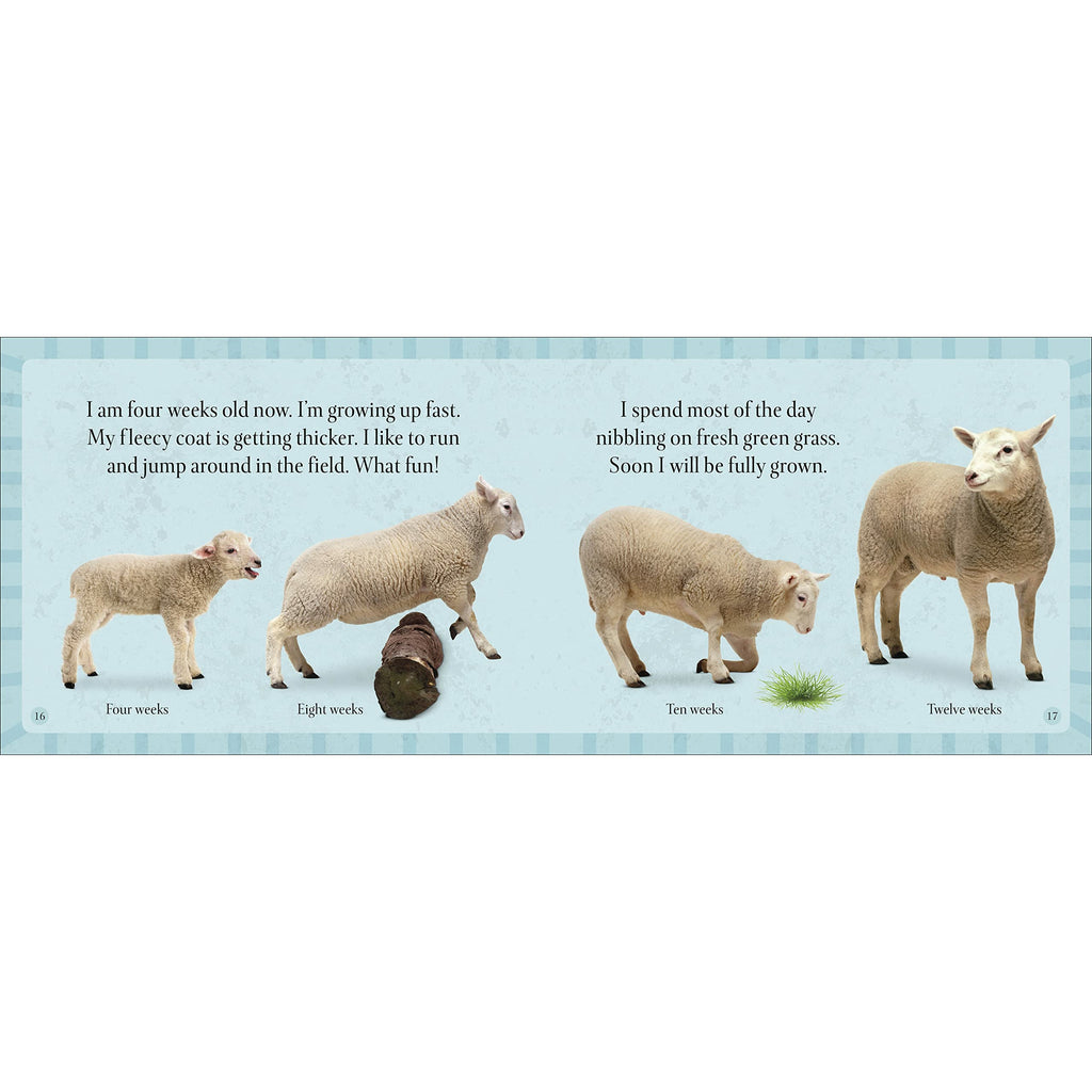 See How They Grow Farm
