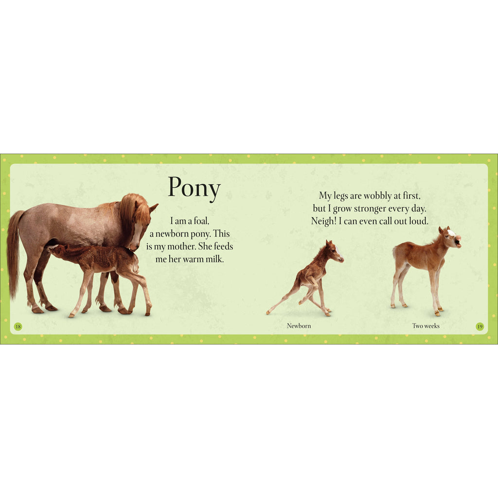 See How They Grow Pets