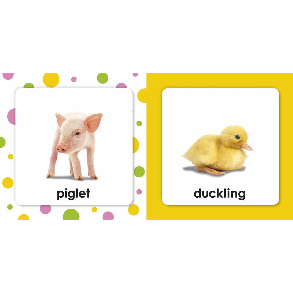 Squeaky Baby Bath Book Baby Animals by DK