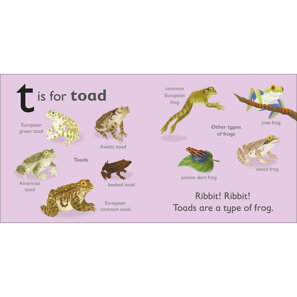 T is for Toad Board book