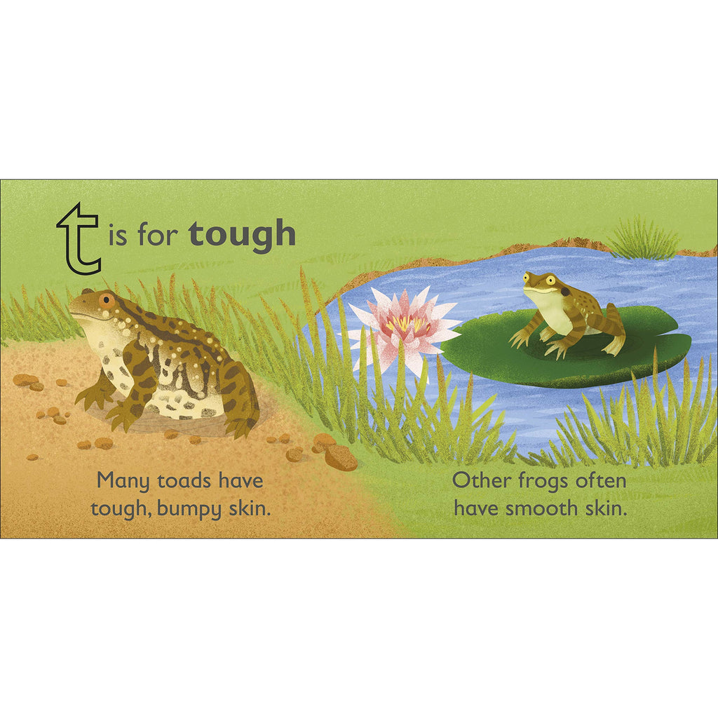 T is for Toad Board book
