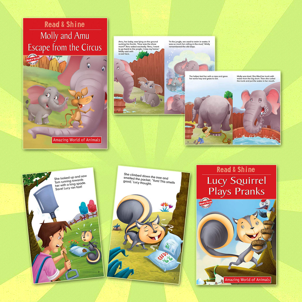 The Read & Shine Box Level 2