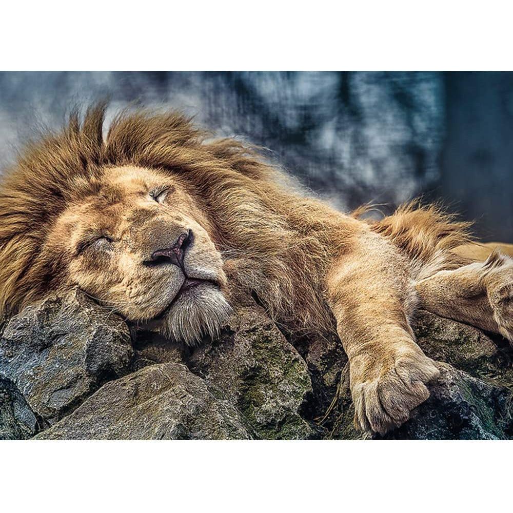 Trefl Sleeping Lion 1000 Pieces Jigsaw Puzzle Age- 14 Years & Above