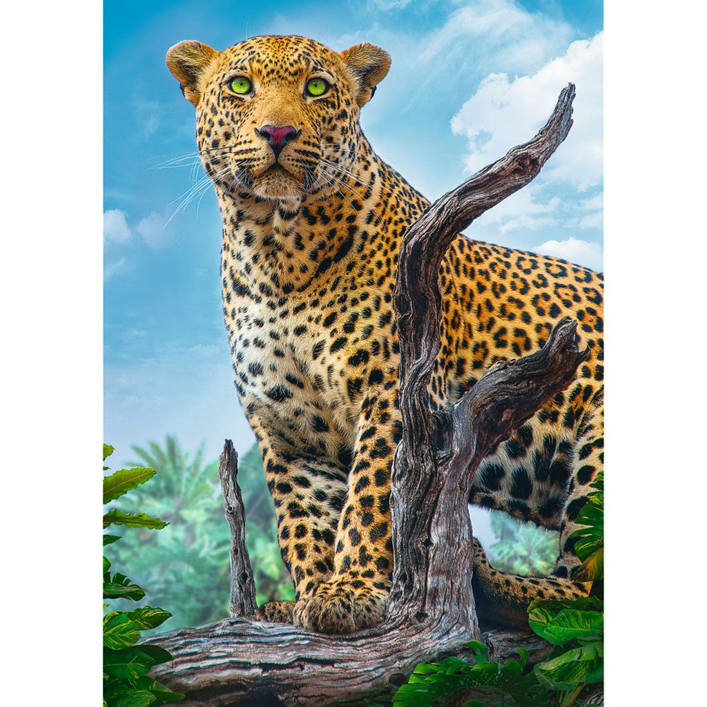 Trefl Wild Leopard 500 Pieces Jigsaw Puzzle Age- 14 Years & Above