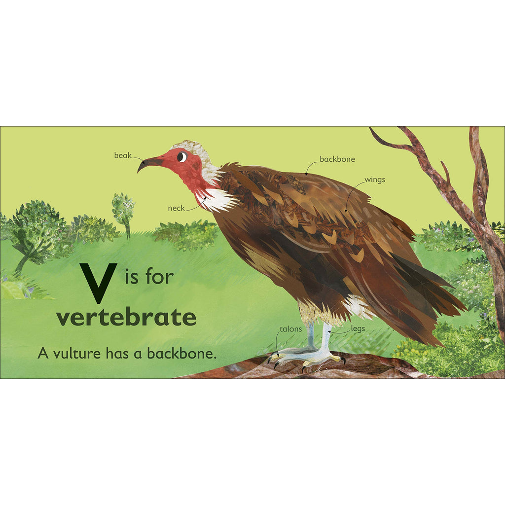 V is for Vulture Board book