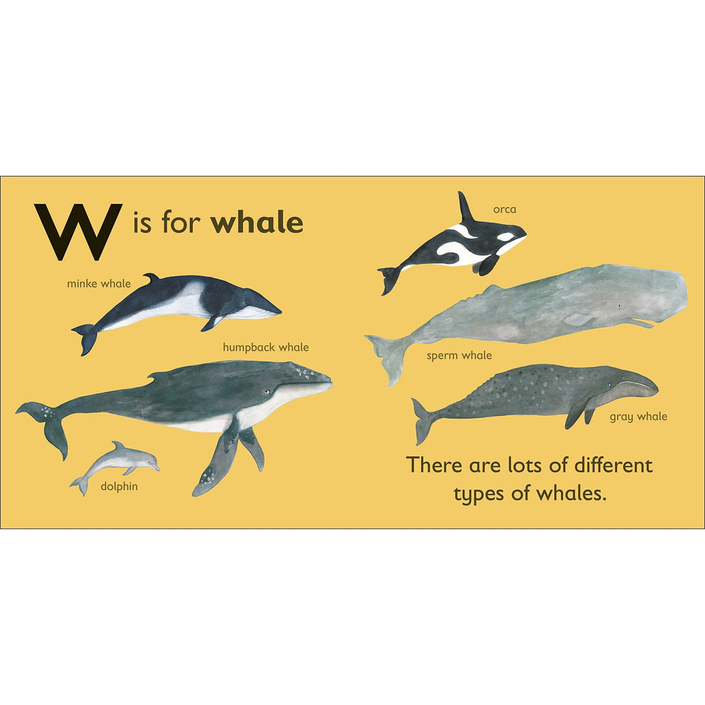 W is for Whale Board book
