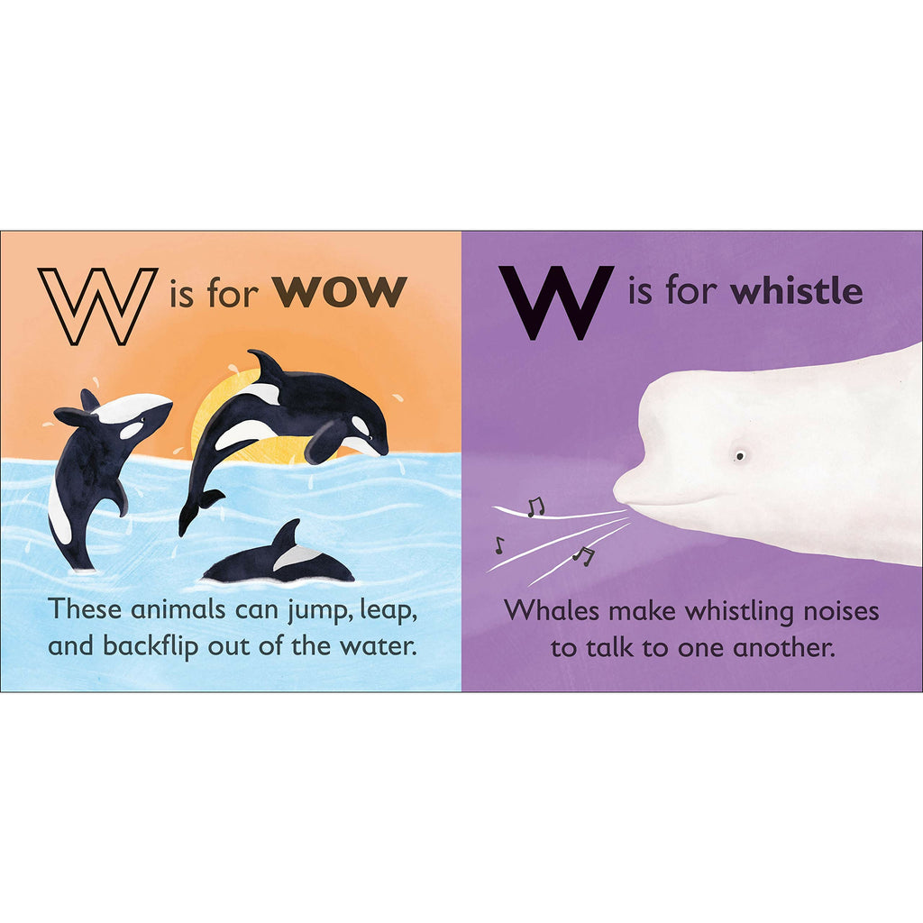 W is for Whale Board book