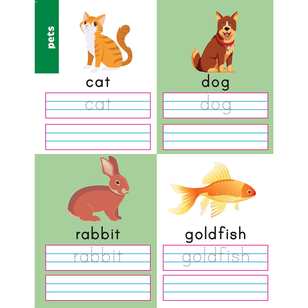Wipe & Clean Workbooks First Words