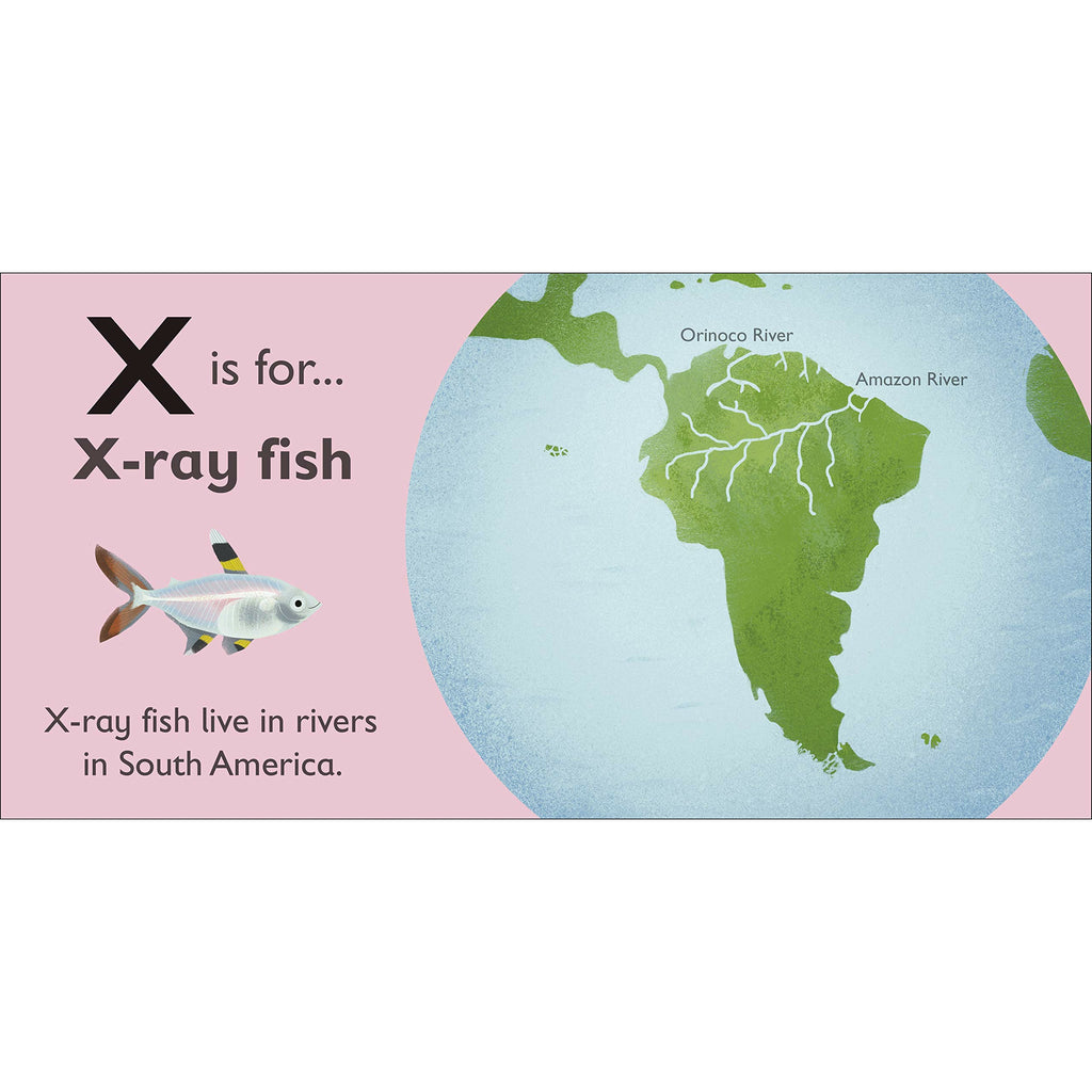 X is for X-Ray Fish Board book