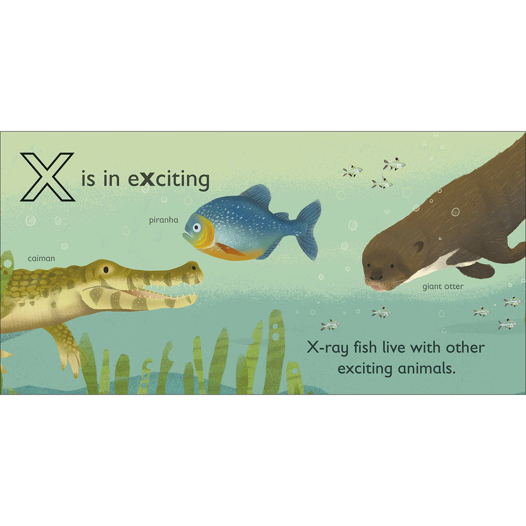 X is for X-Ray Fish Board book