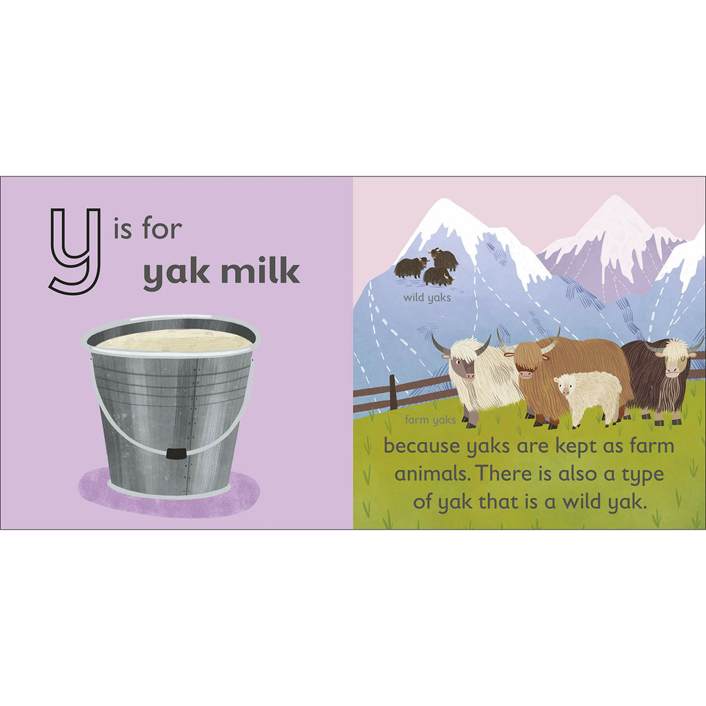 Y is for Yak Board book