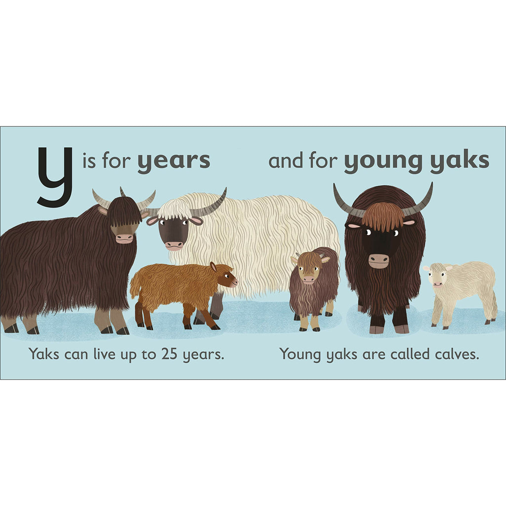 Y is for Yak Board book